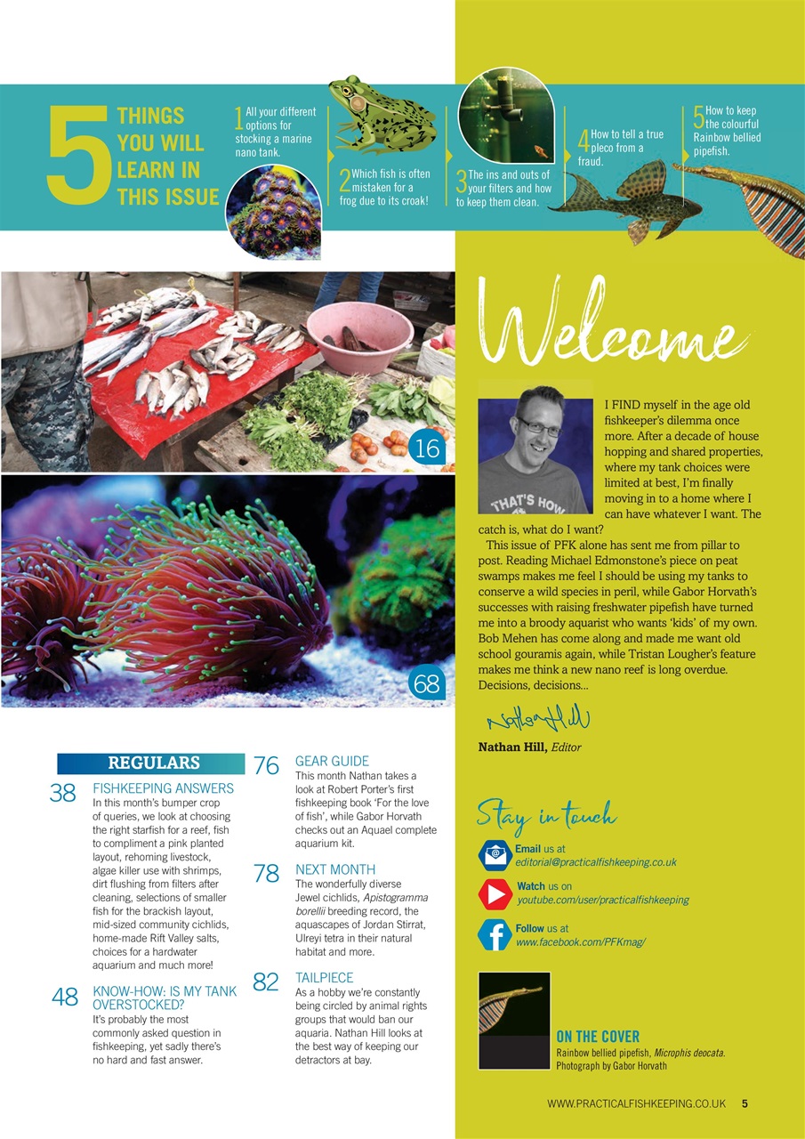 Practical Fishkeeping Preview Pages