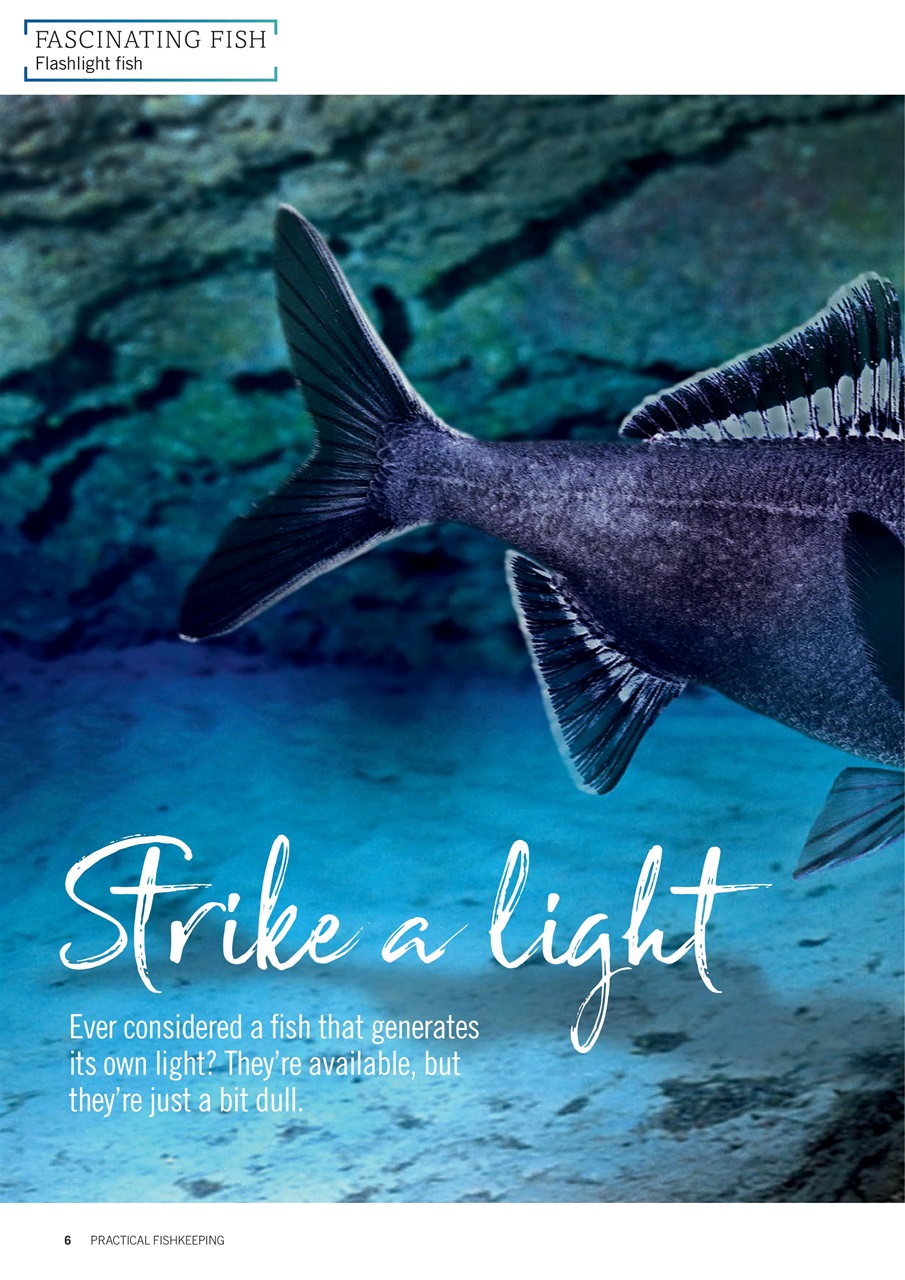 Practical Fishkeeping Preview Pages