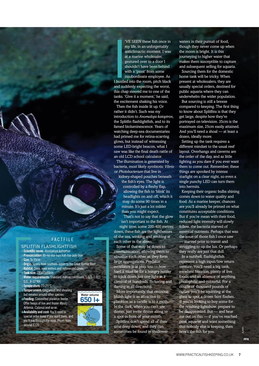 Practical Fishkeeping Preview Pages