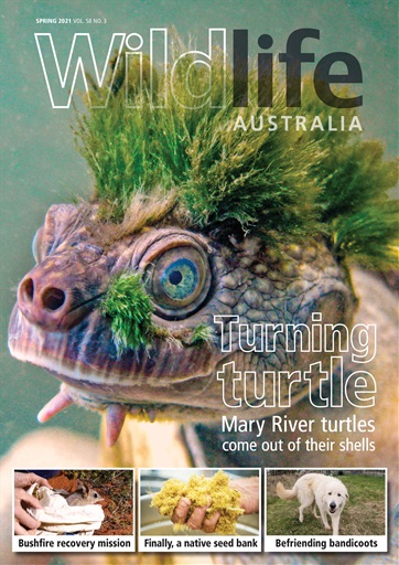 Wildlife Australia issue 