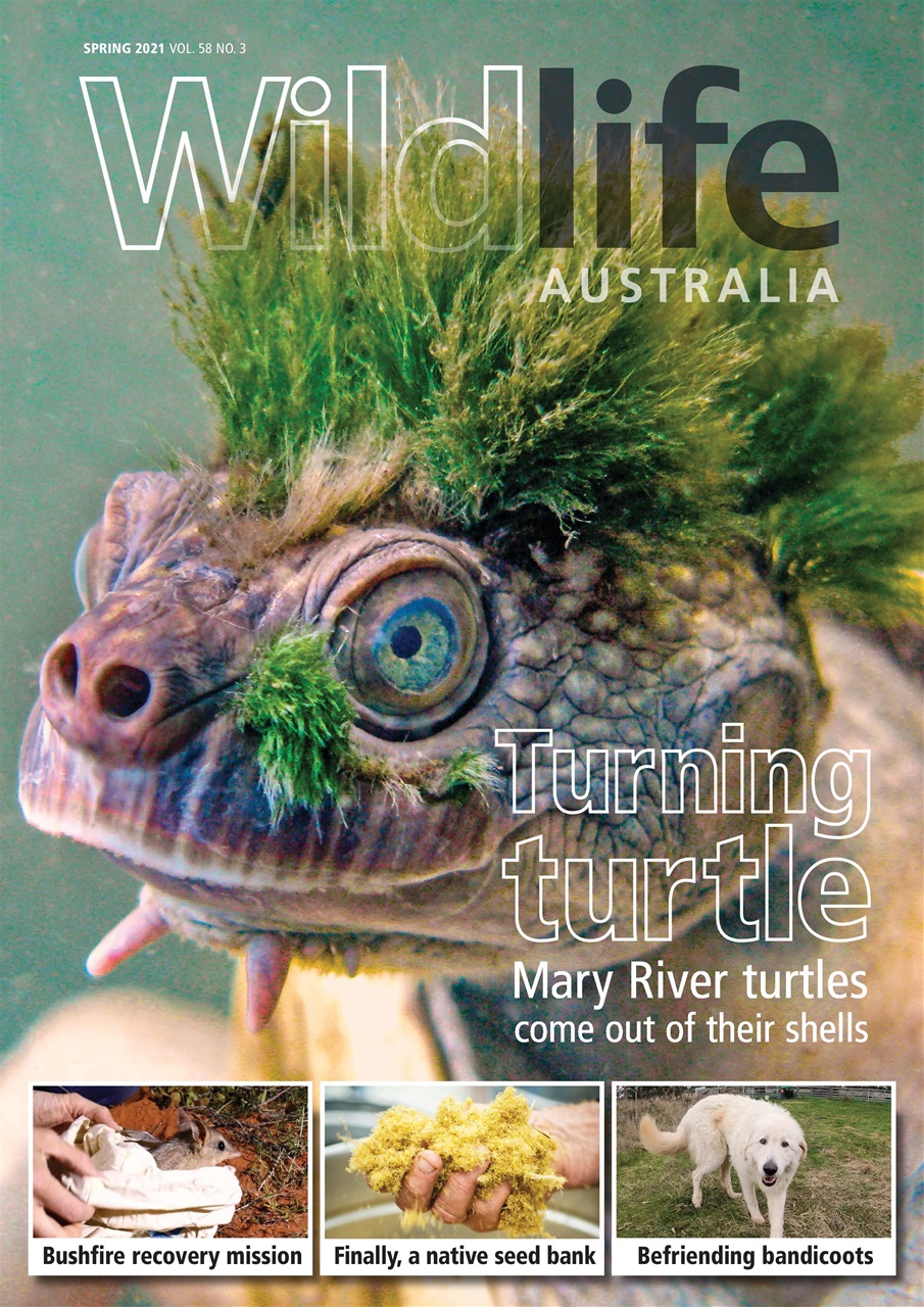 Wildlife Australia Preview Pages
