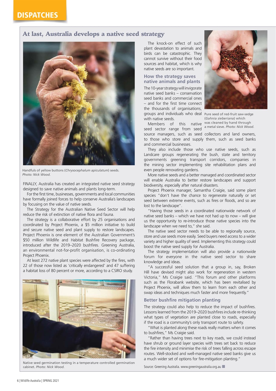 Wildlife Australia Preview Pages