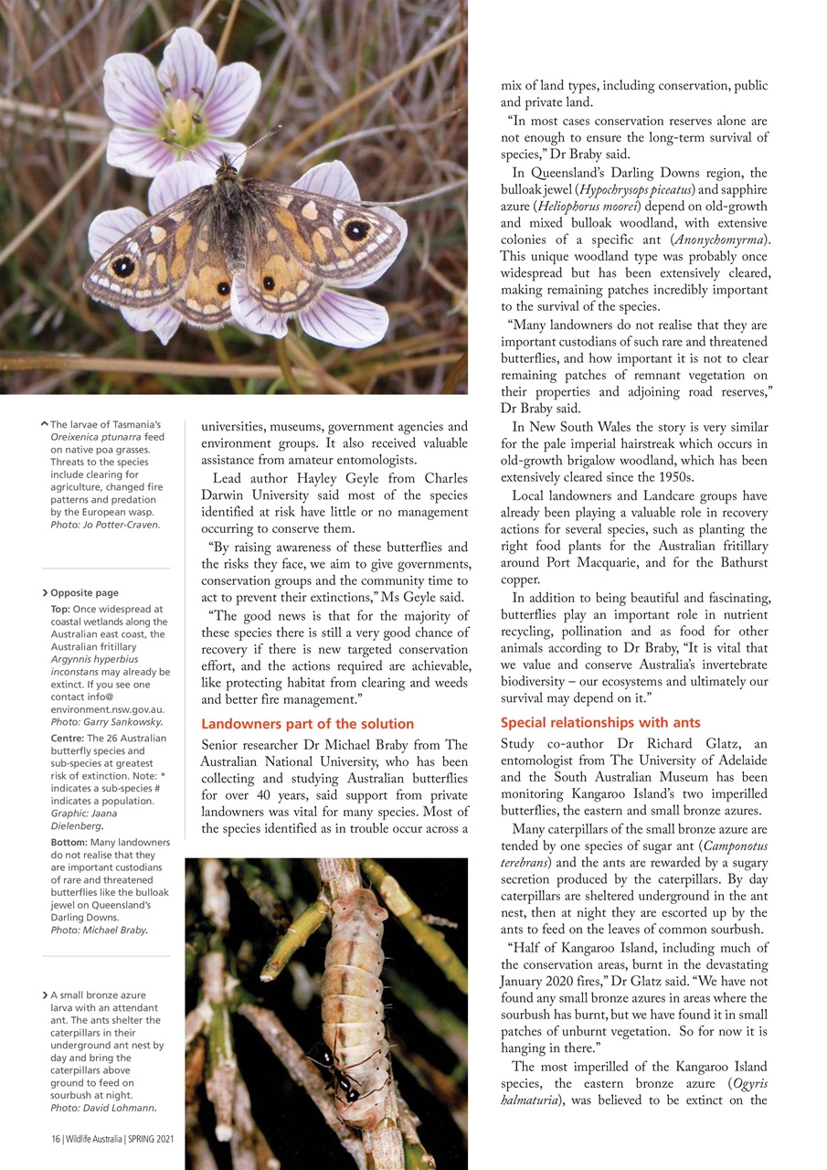 Wildlife Australia Preview Pages