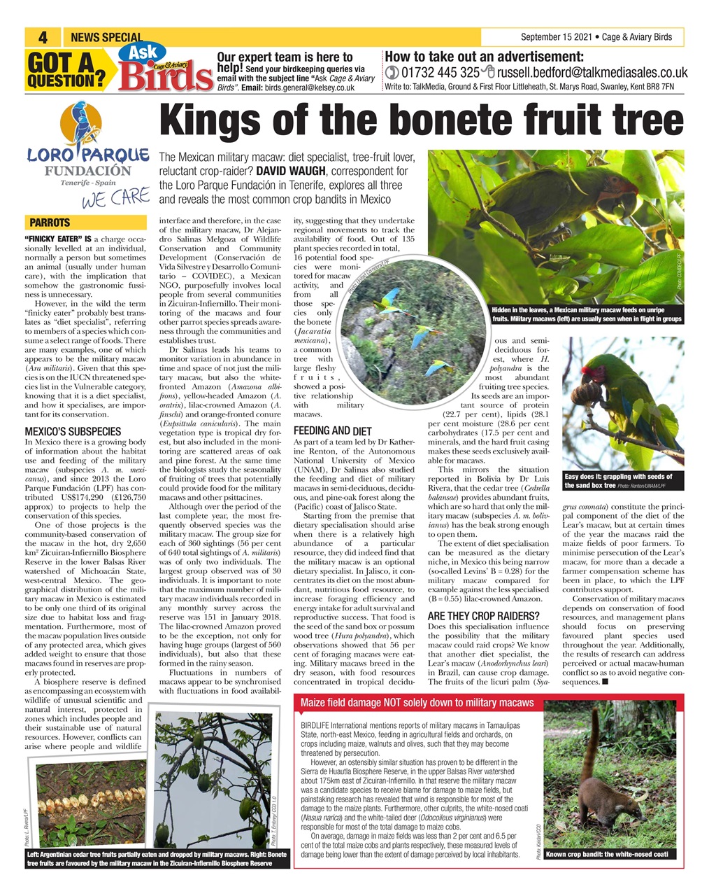 Cage & Aviary Birds Preview Pages