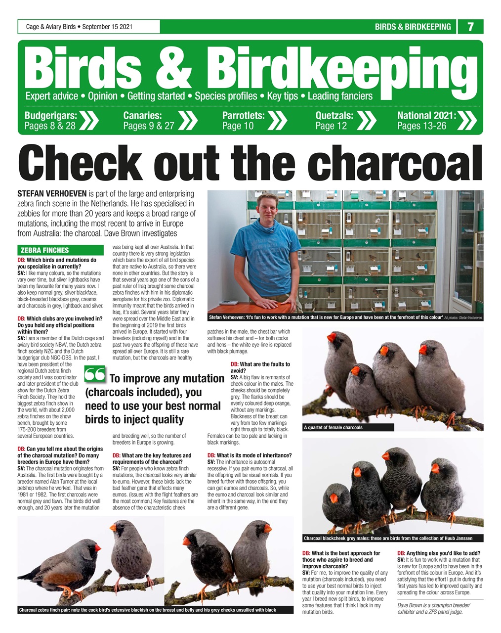 Cage & Aviary Birds Preview Pages