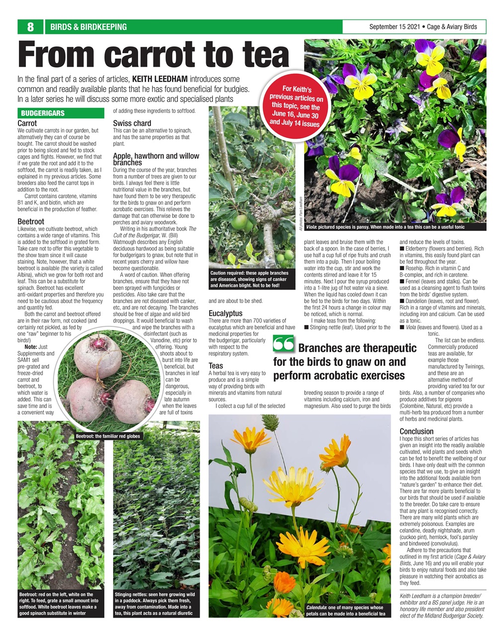 Cage & Aviary Birds Preview Pages