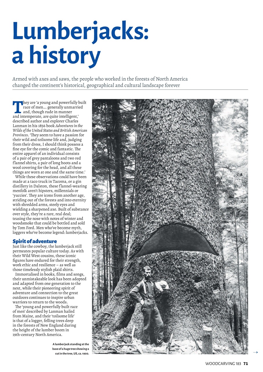 Woodcarving Preview Pages