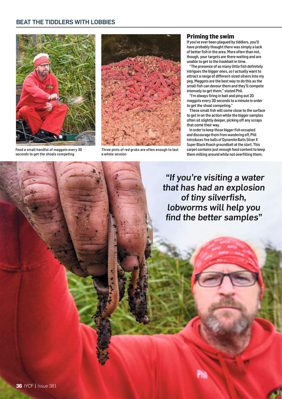 Improve Your Coarse Fishing Preview Pages