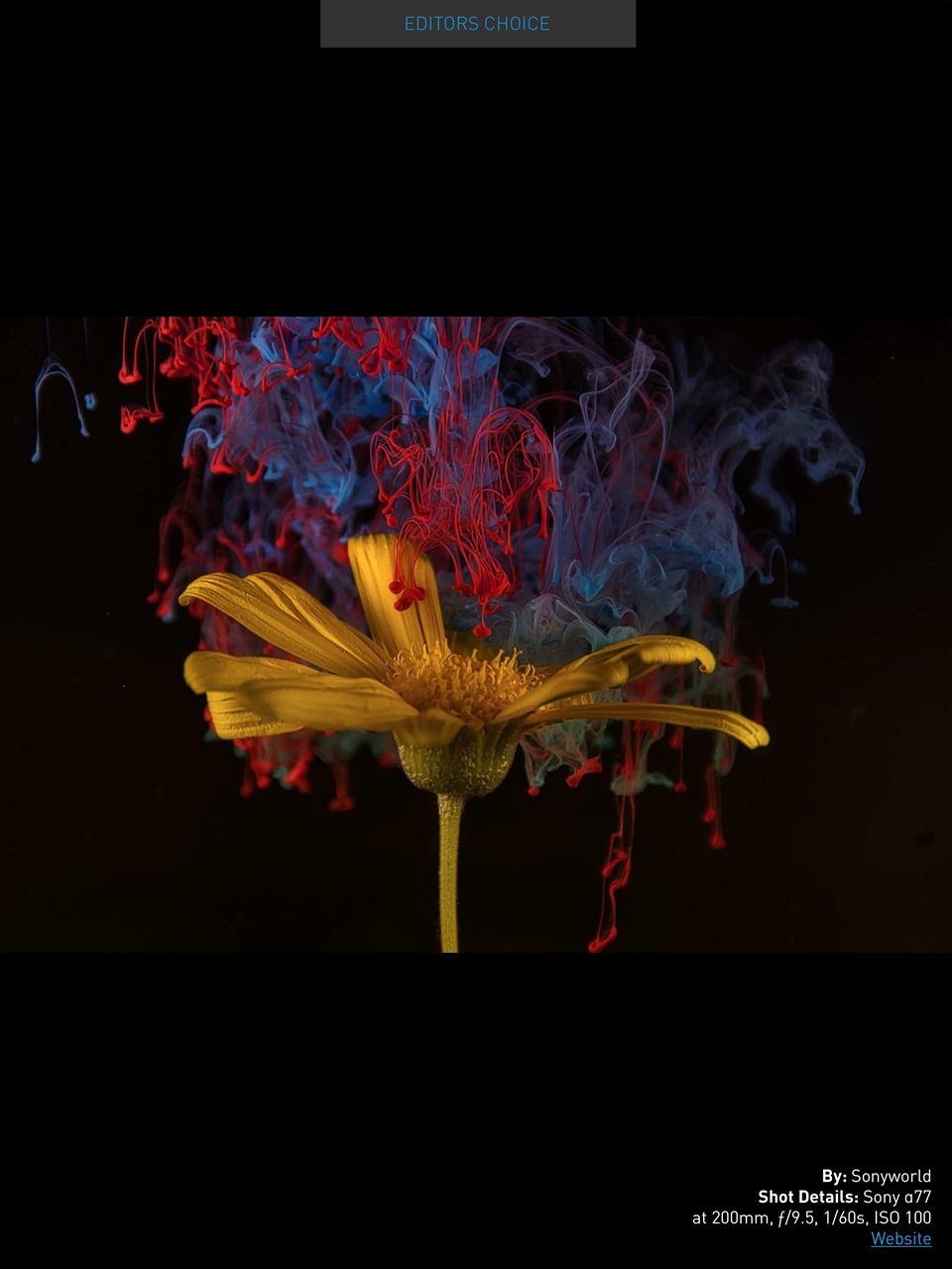 Photography Masterclass Magazine Preview Pages