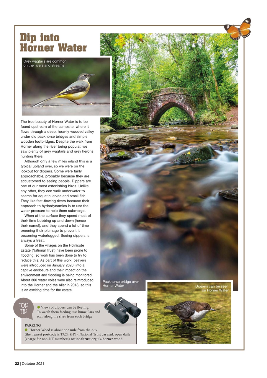 Caravan Magazine Preview Pages