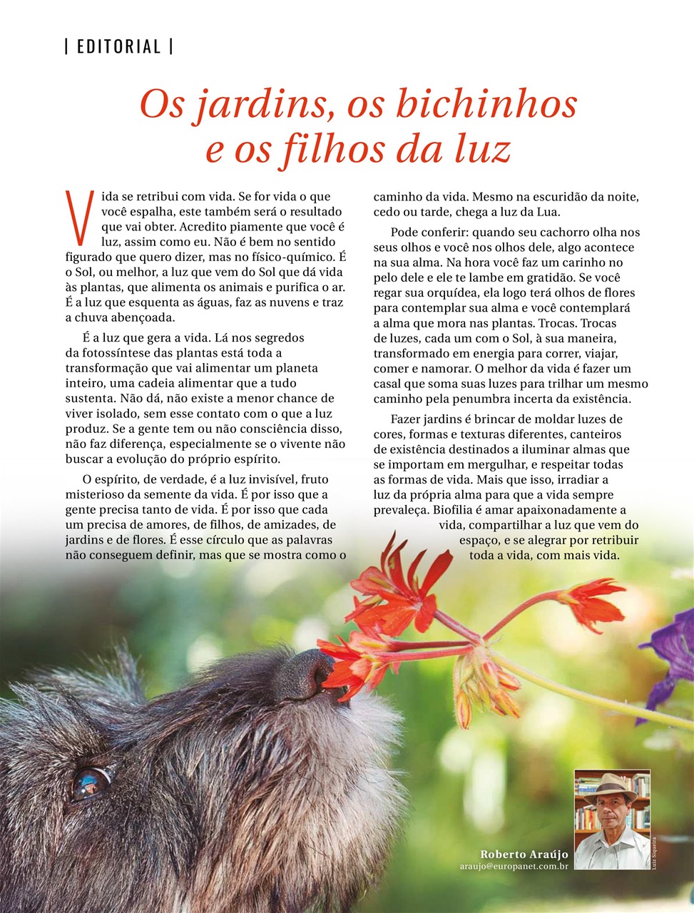 Natureza Preview Pages