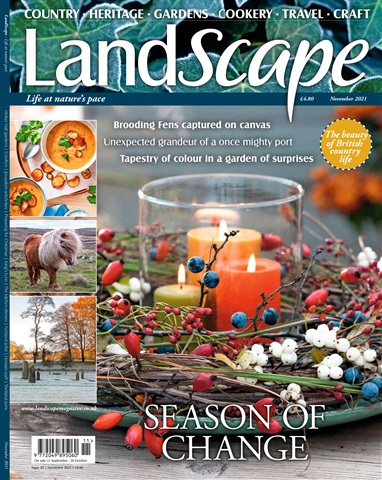 LandScape issue November 2021
