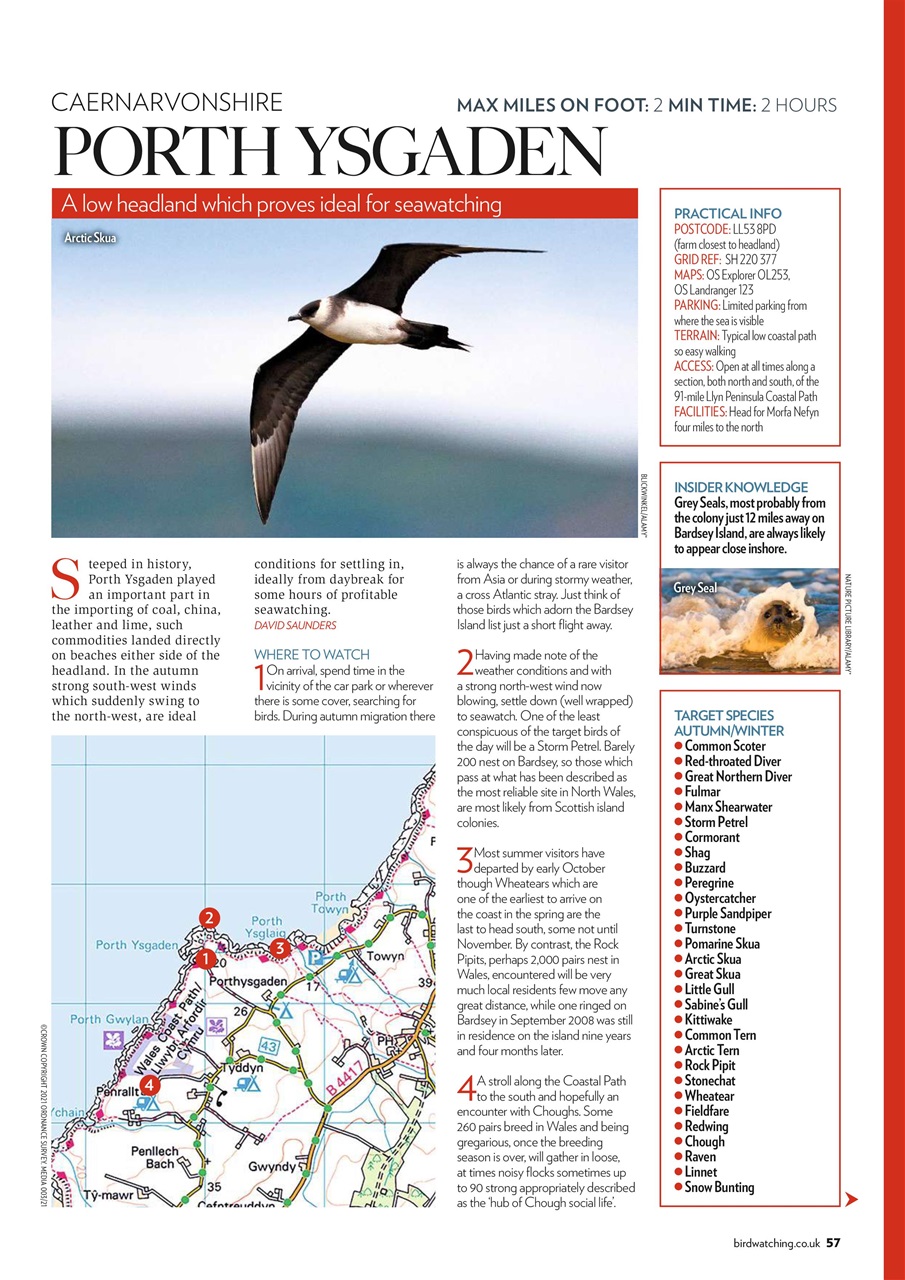 Bird Watching Preview Pages