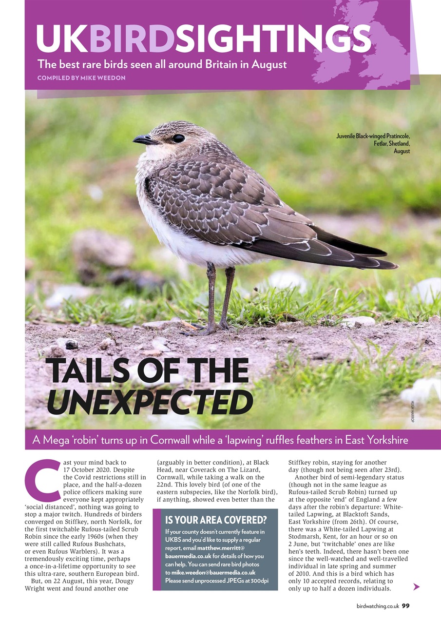 Bird Watching Preview Pages