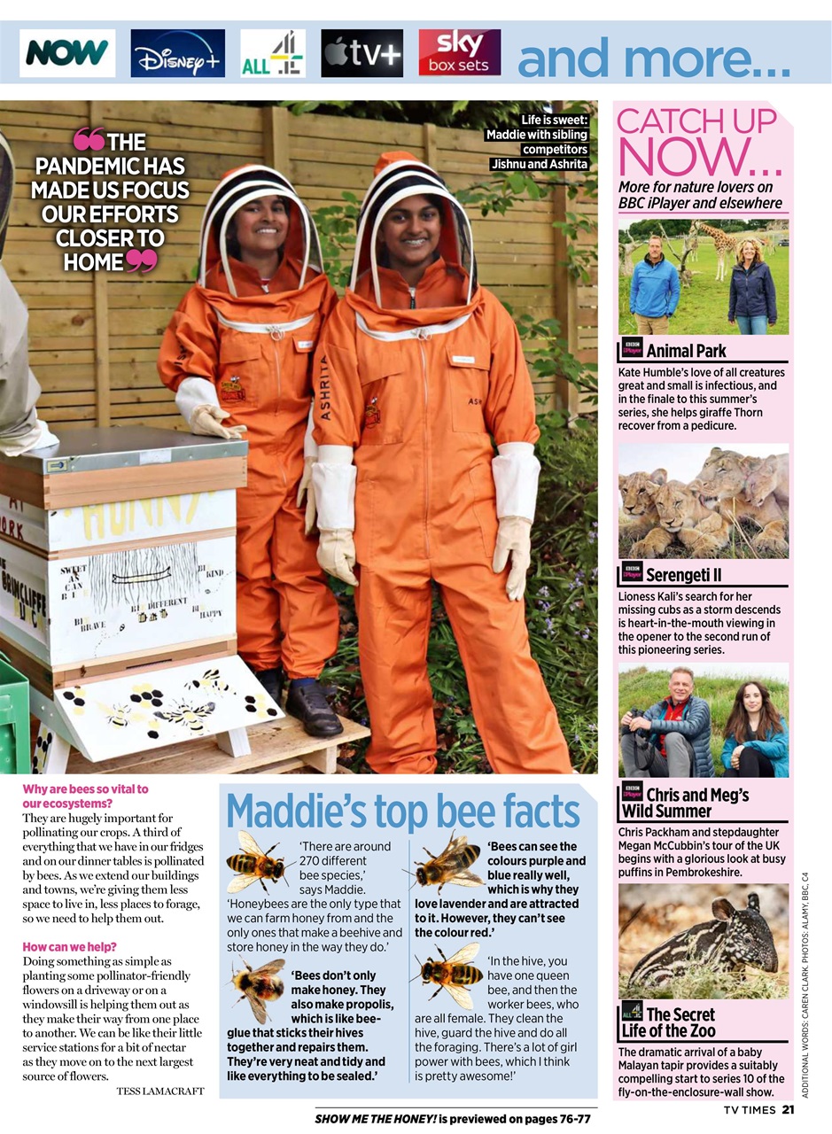 TV Times Preview Pages