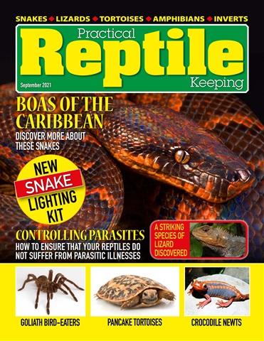 Practical Reptile Keeping issue September 2021