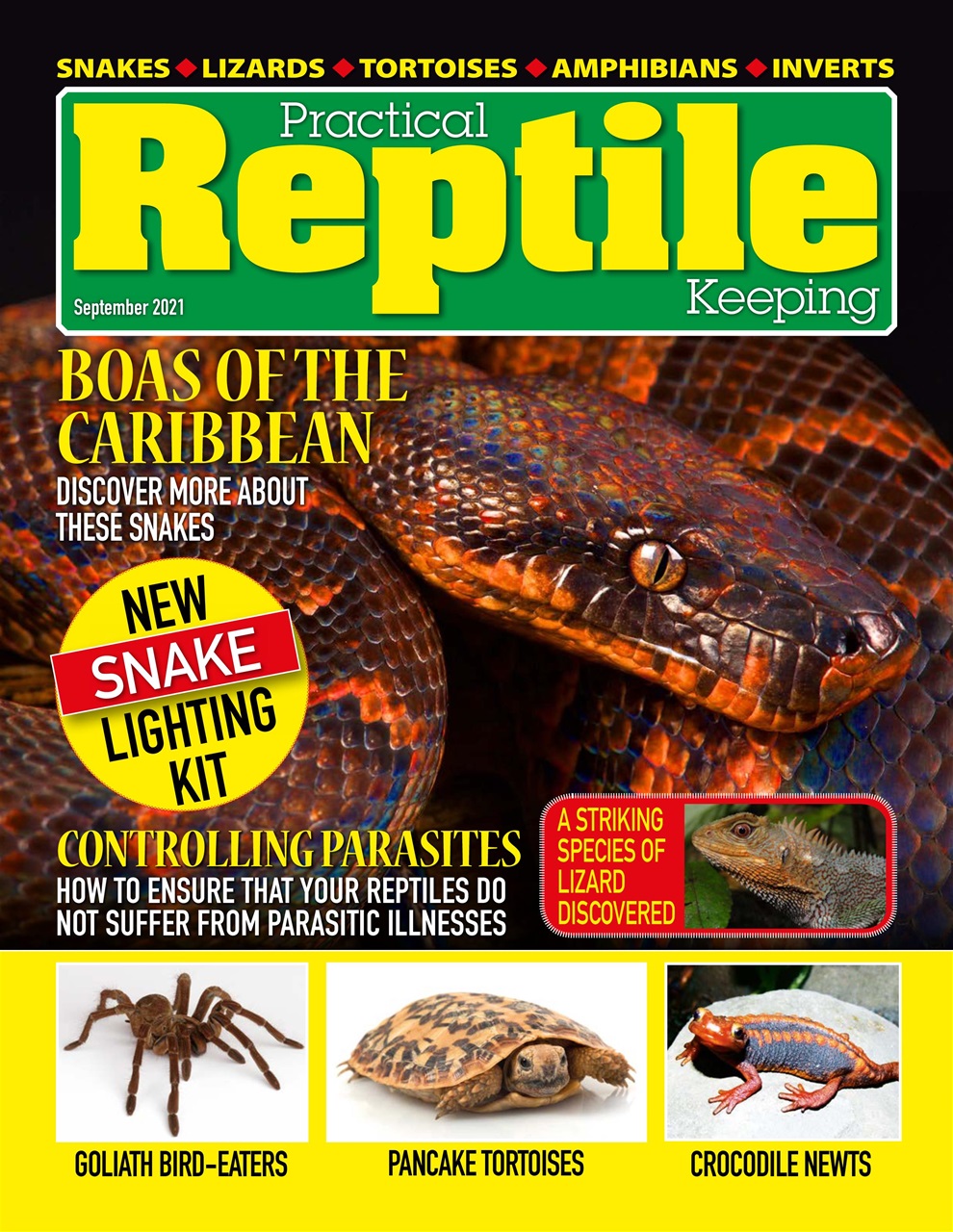 Practical Reptile Keeping Preview Pages