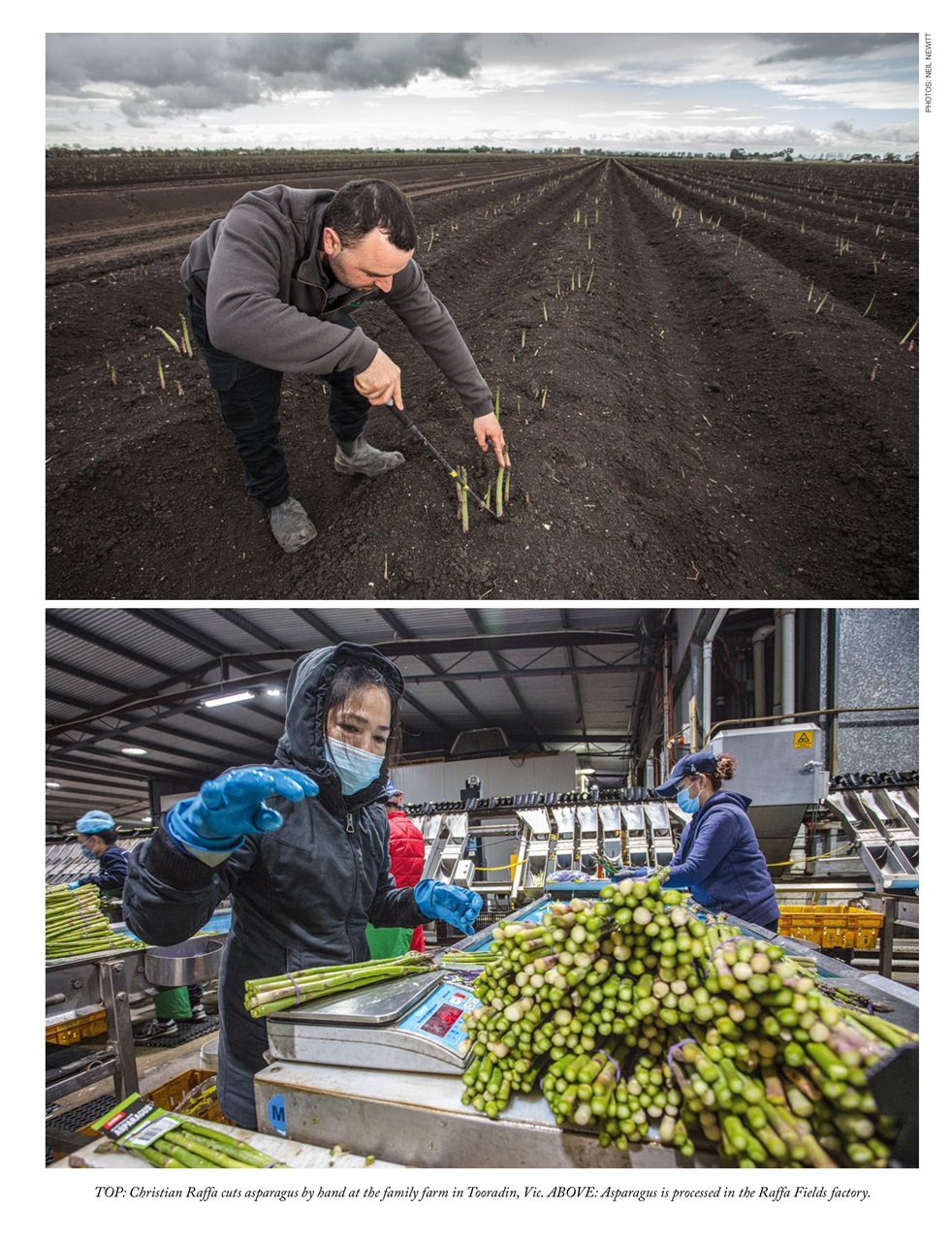 OUTBACK Magazine Preview Pages