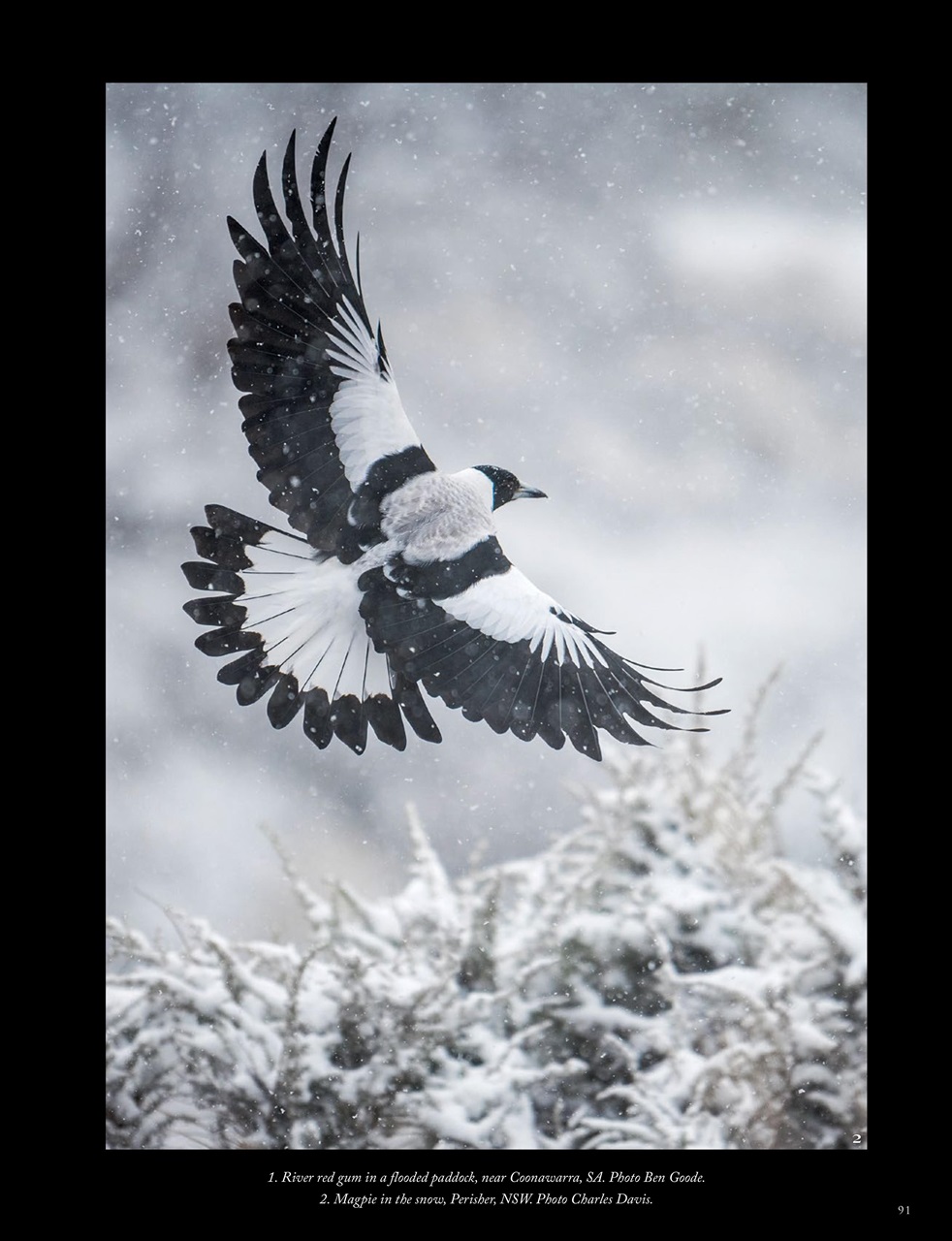 OUTBACK Magazine Preview Pages