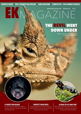 Exotics Keeper issue October 2021