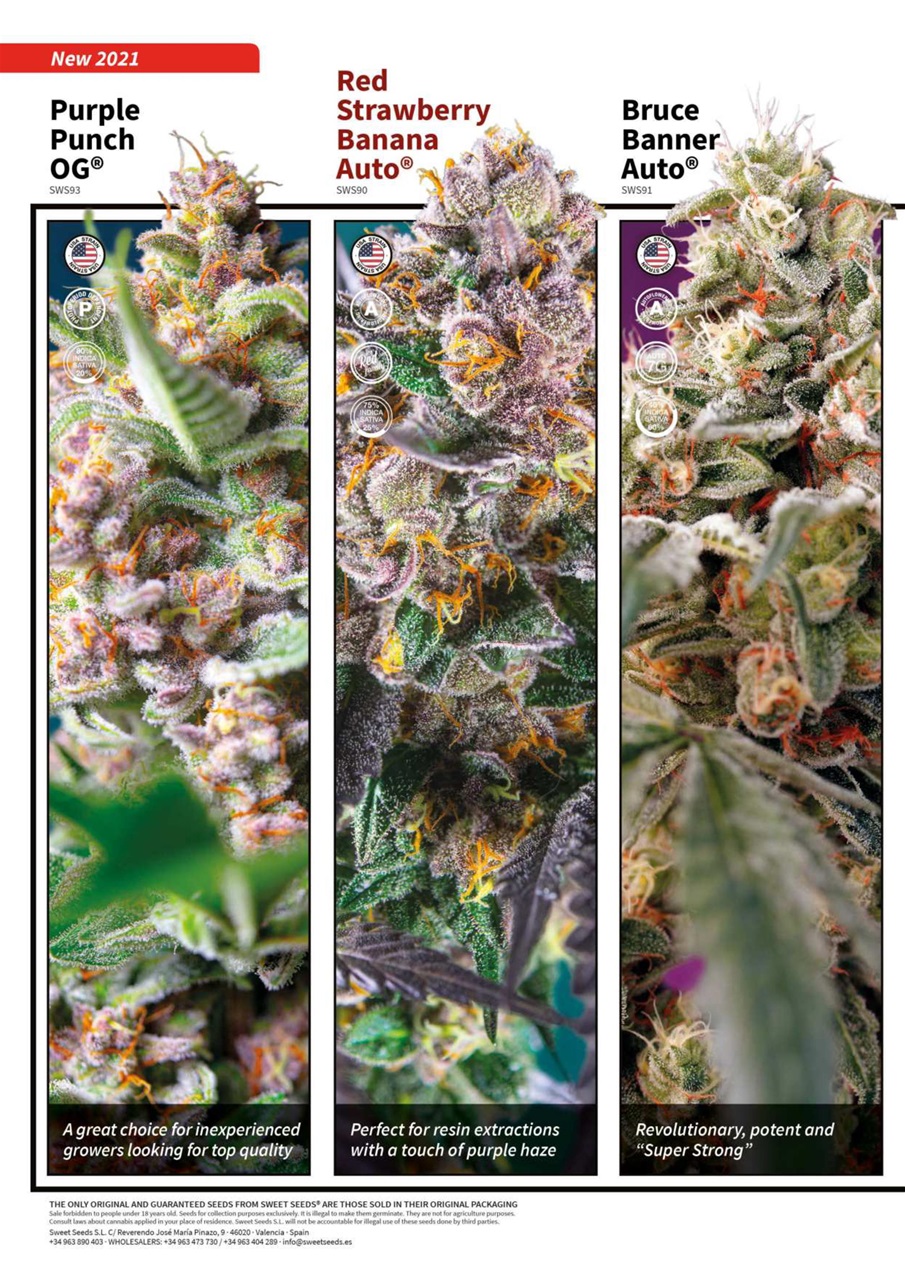 Weed World Preview Pages