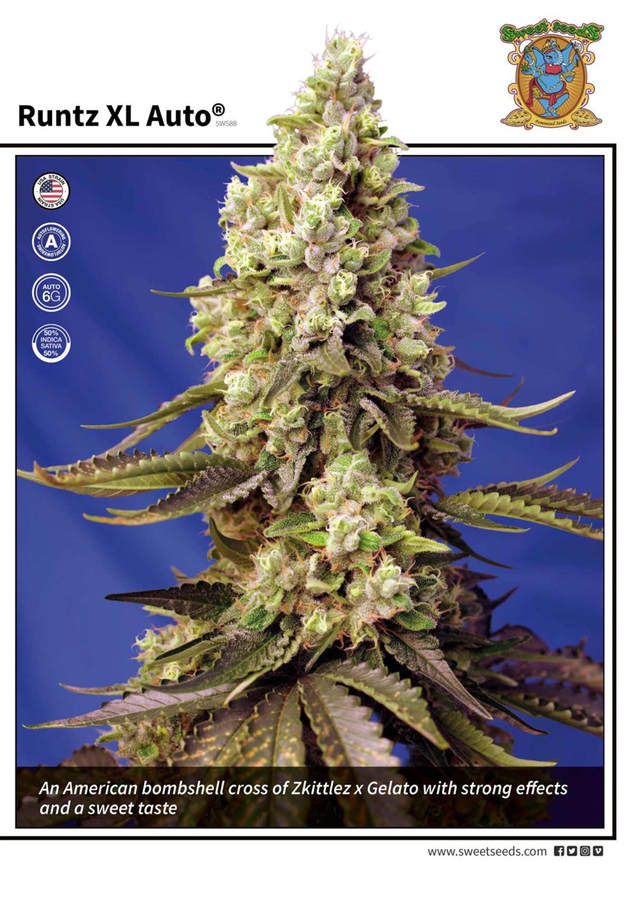 Weed World Preview Pages