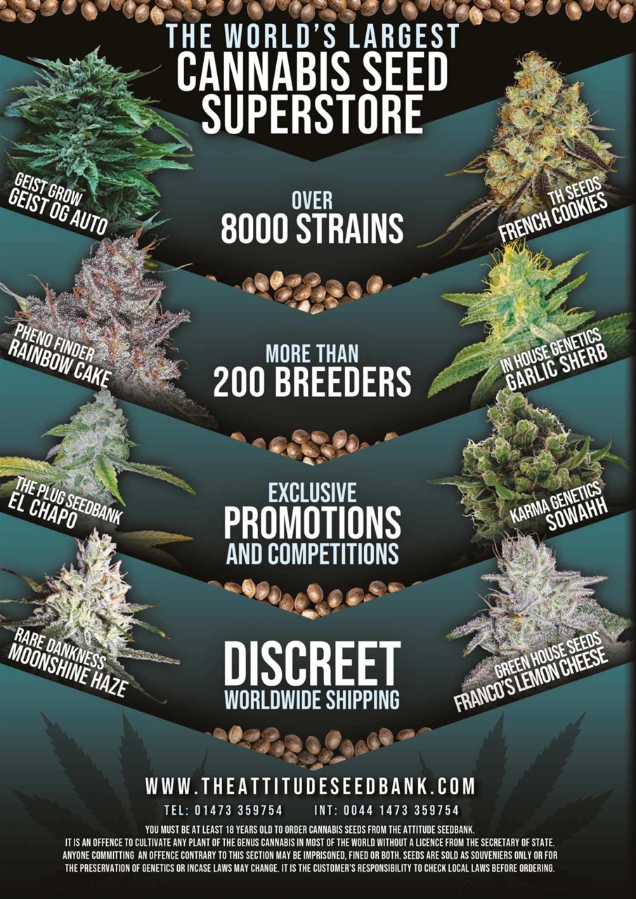 Weed World Preview Pages