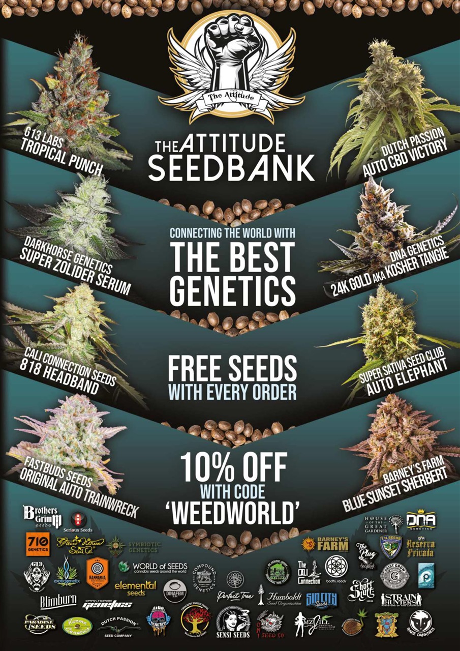 Weed World Preview Pages