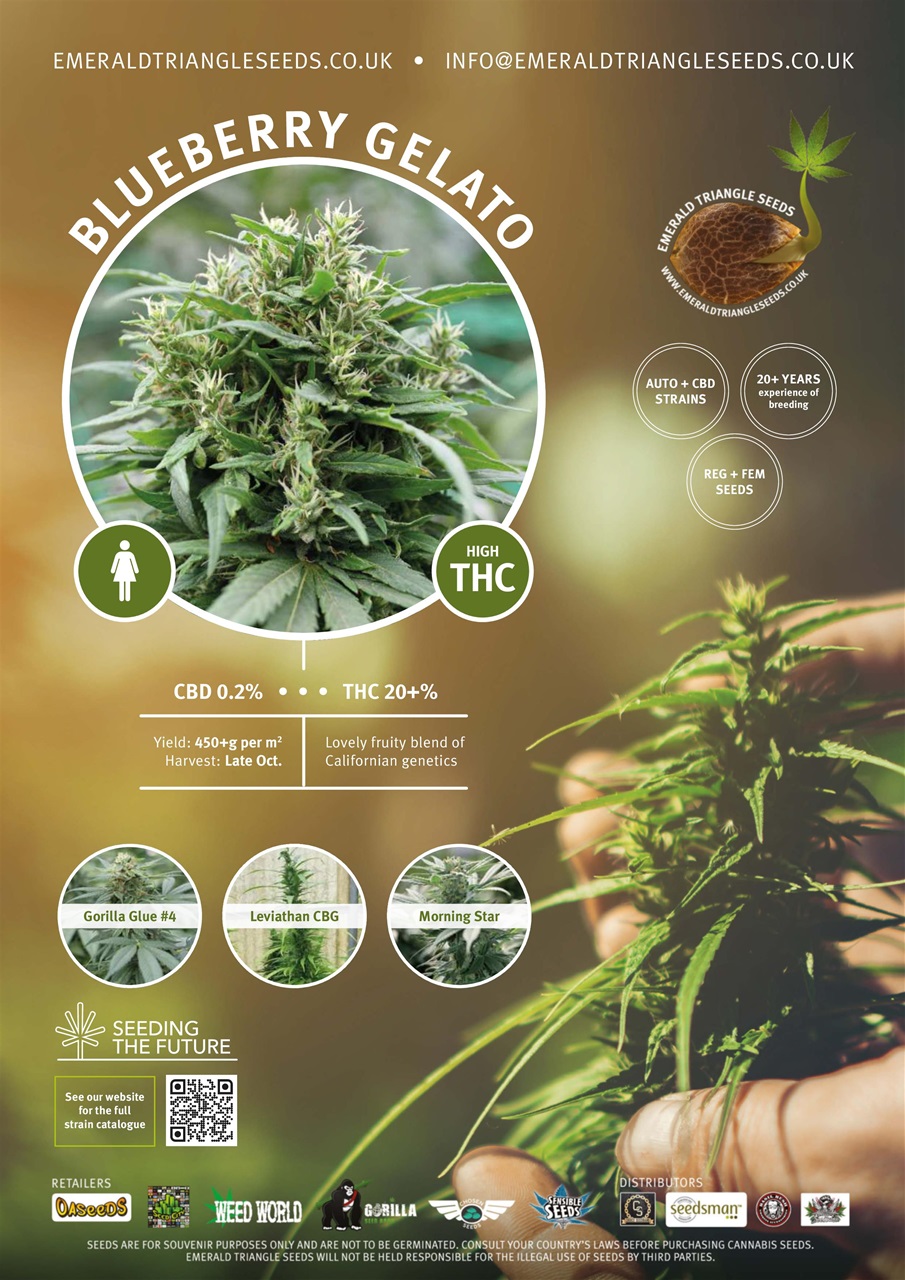 Weed World Preview Pages