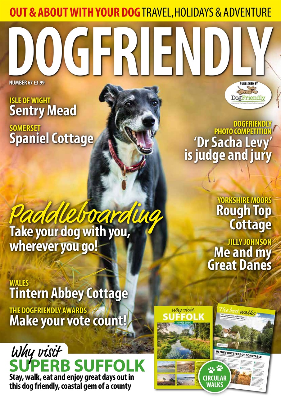 Dog Friendly Preview Pages