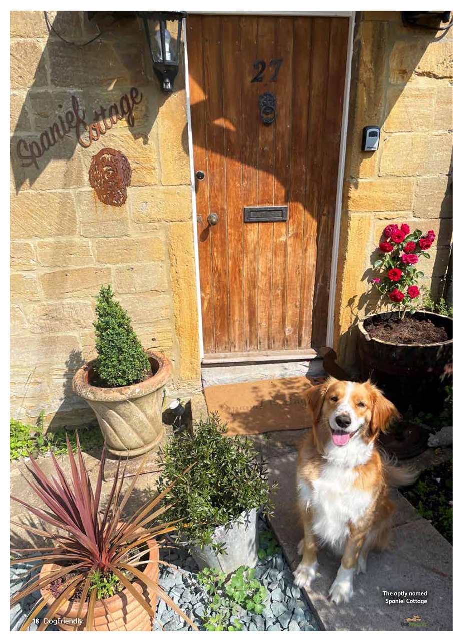 Dog Friendly Preview Pages