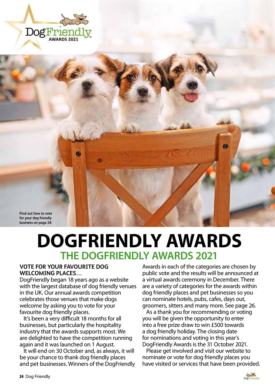 Dog Friendly Preview Pages