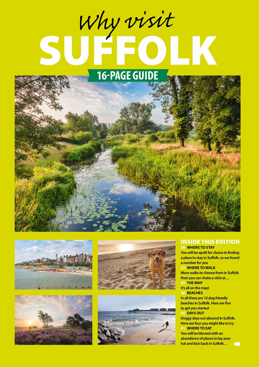 Dog Friendly Preview Pages