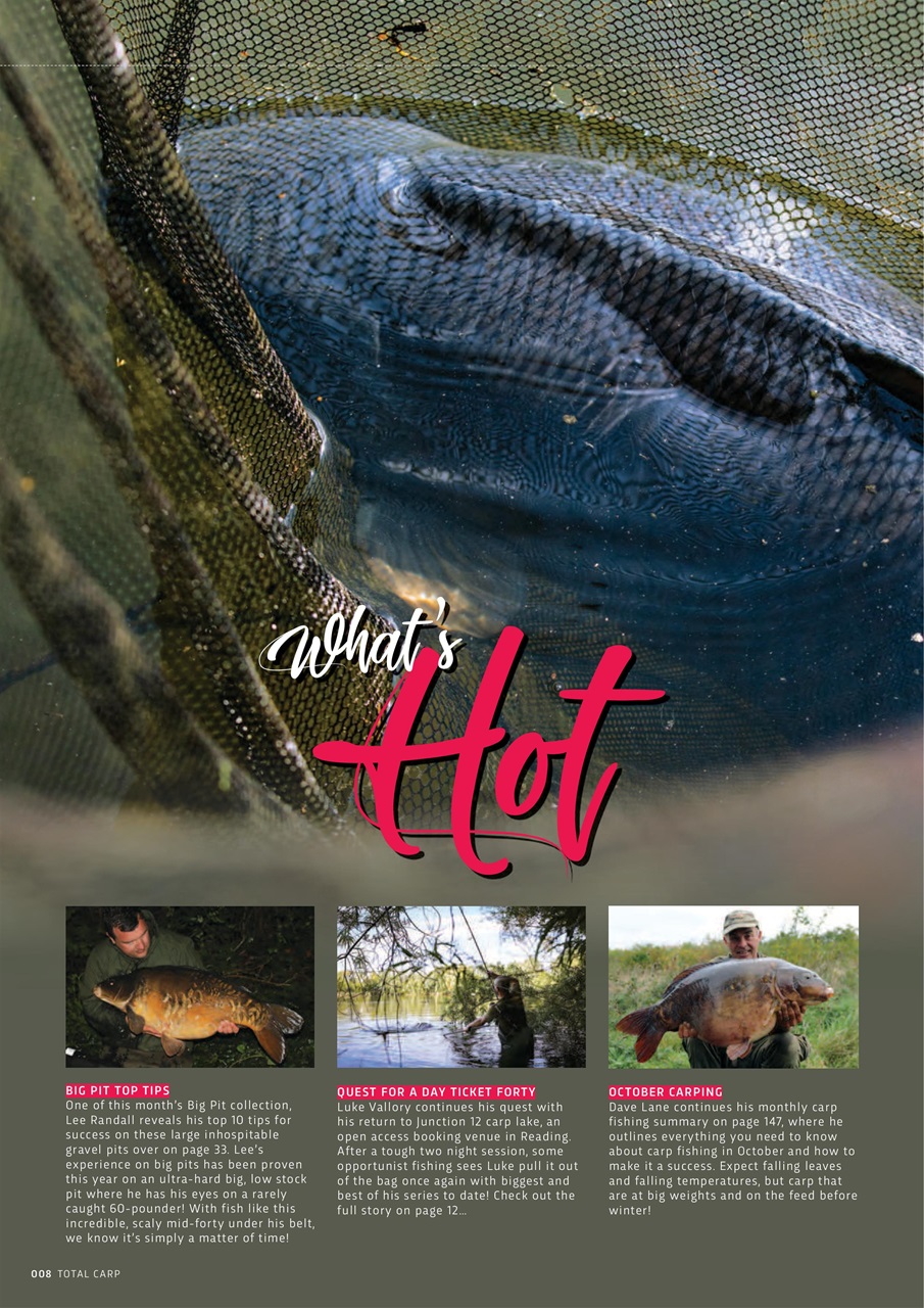Total Carp Preview Pages