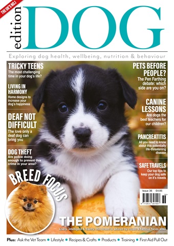 Edition Dog issue Issue 36