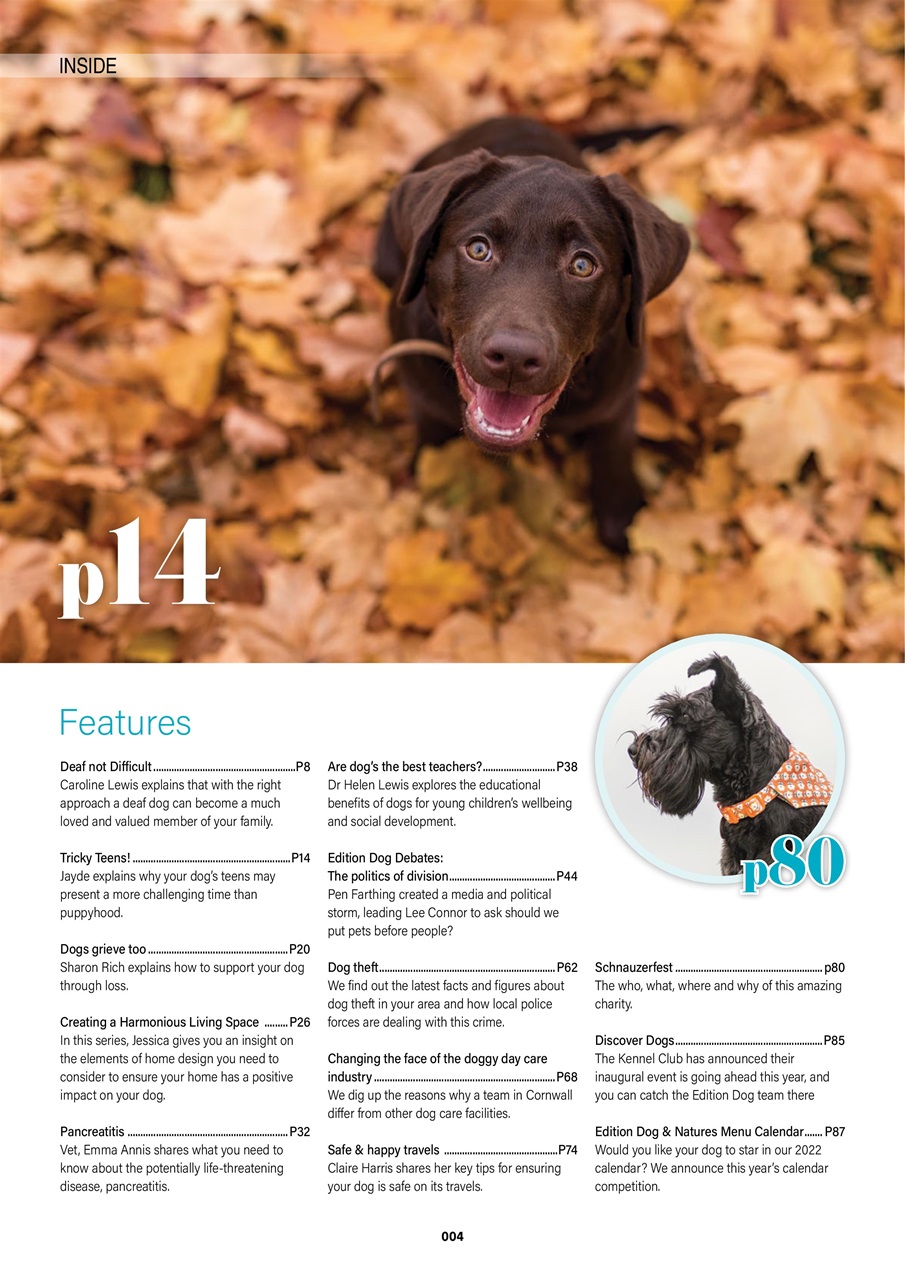 Edition Dog Preview Pages