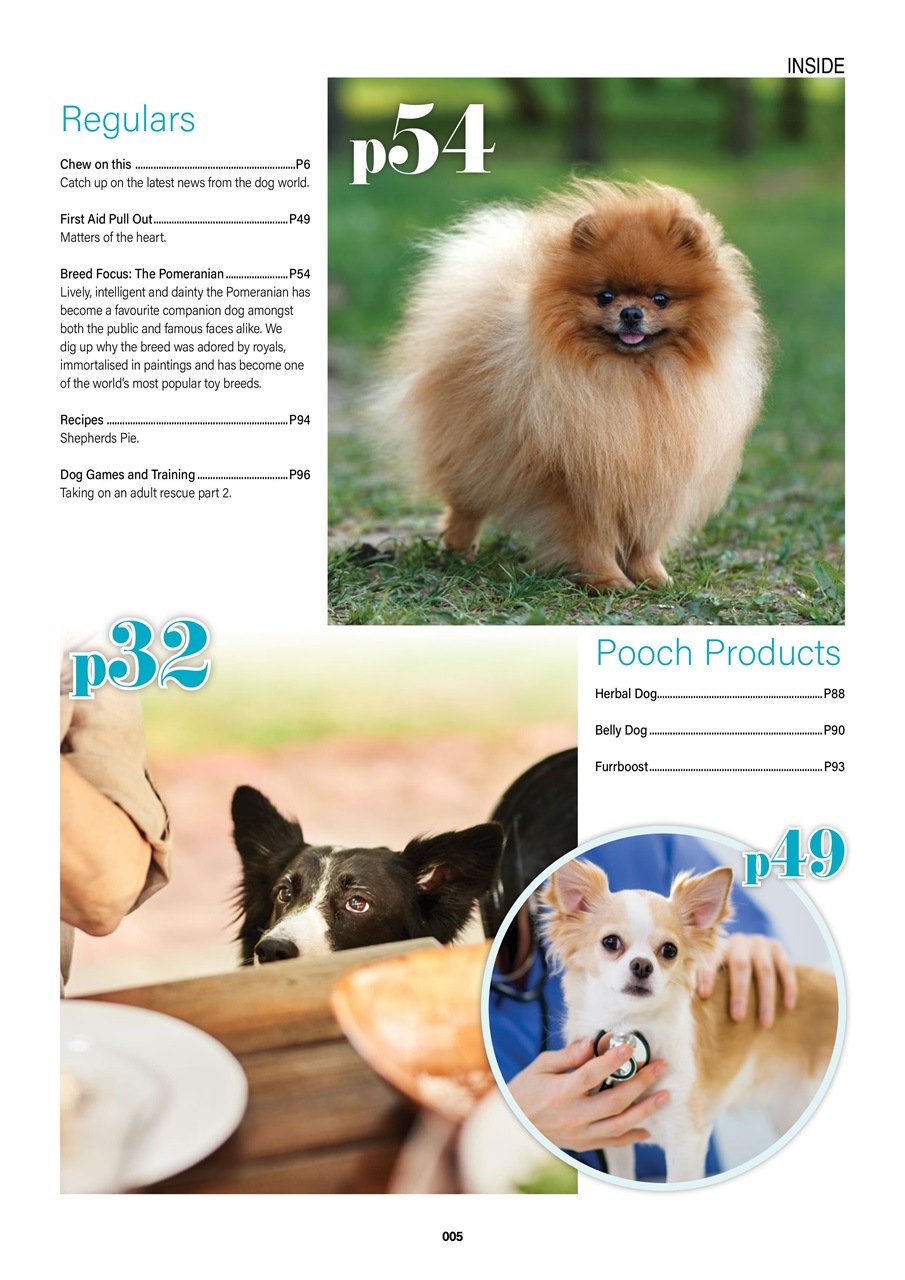 Edition Dog Preview Pages