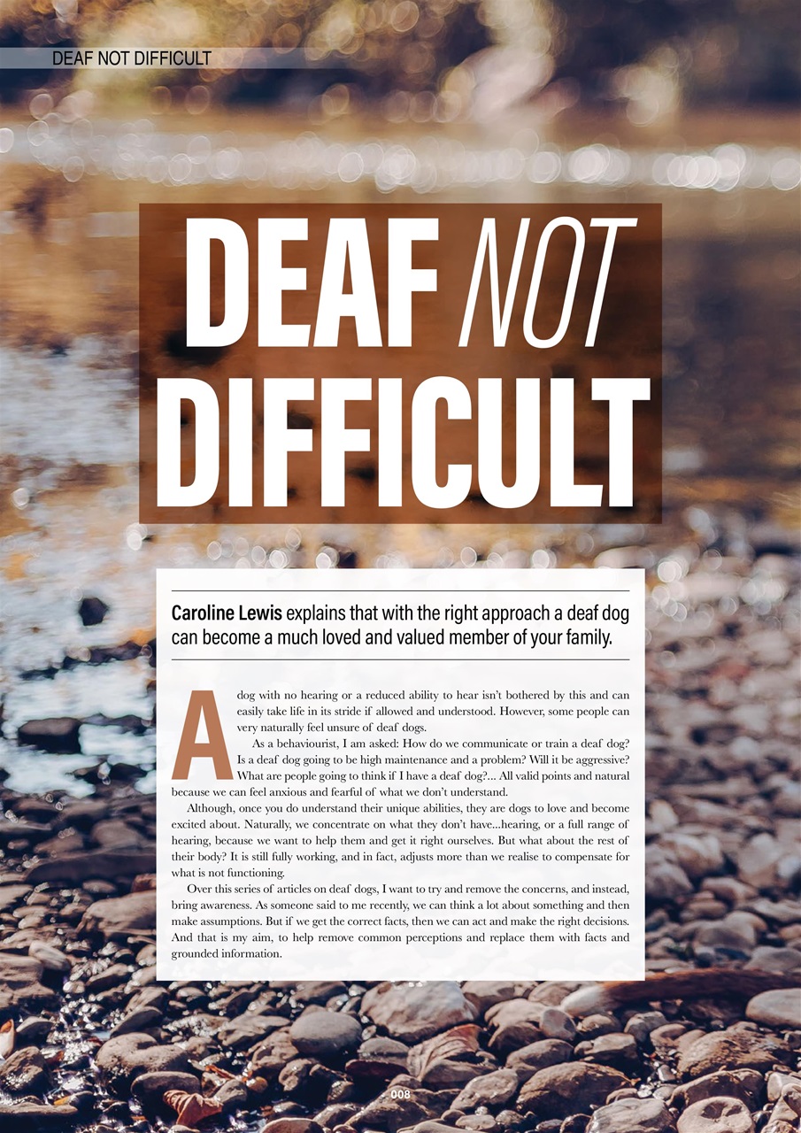 Edition Dog Preview Pages