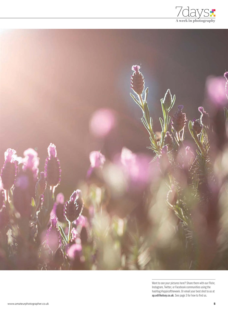 Amateur Photographer Preview Pages