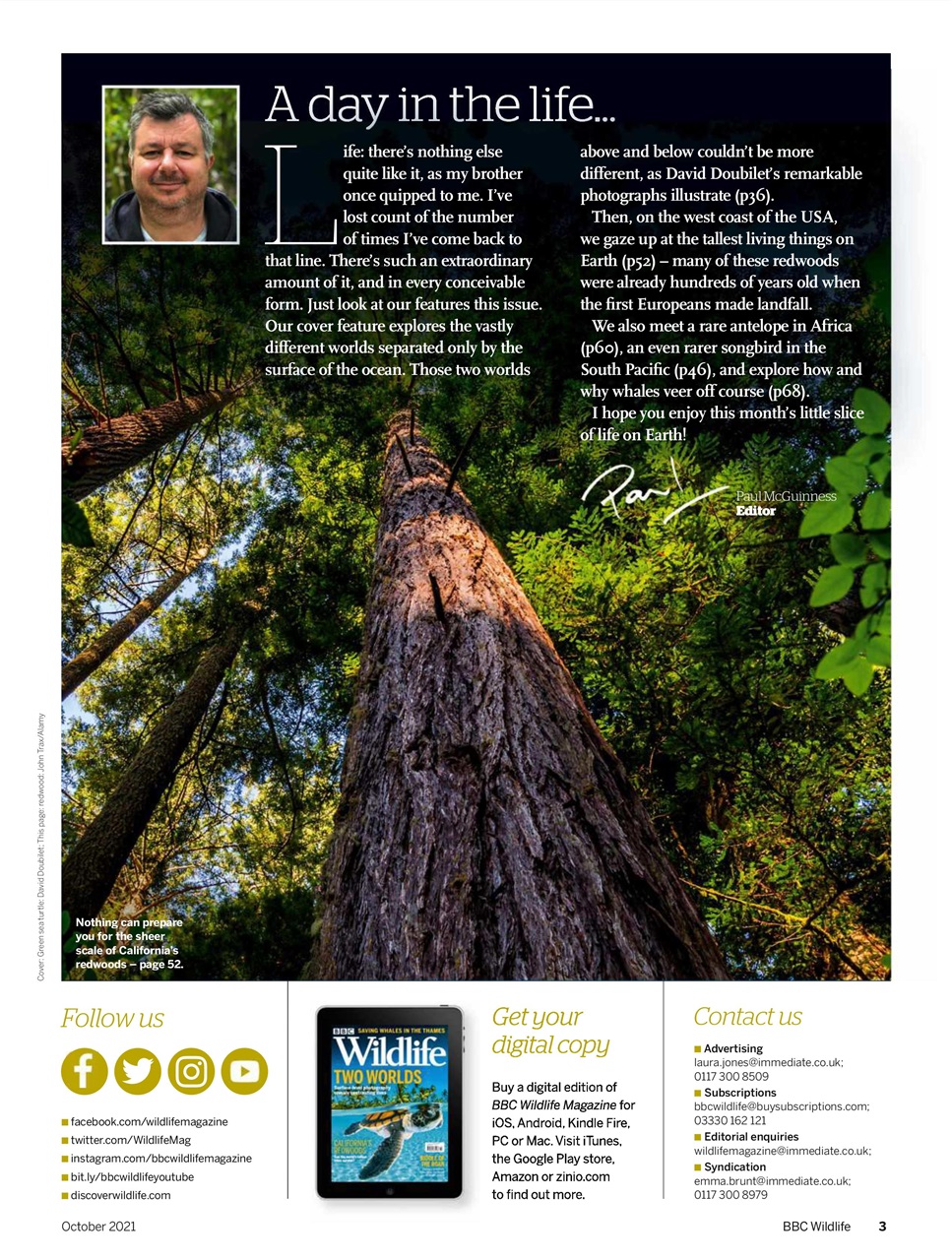 BBC Wildlife Magazine Preview Pages