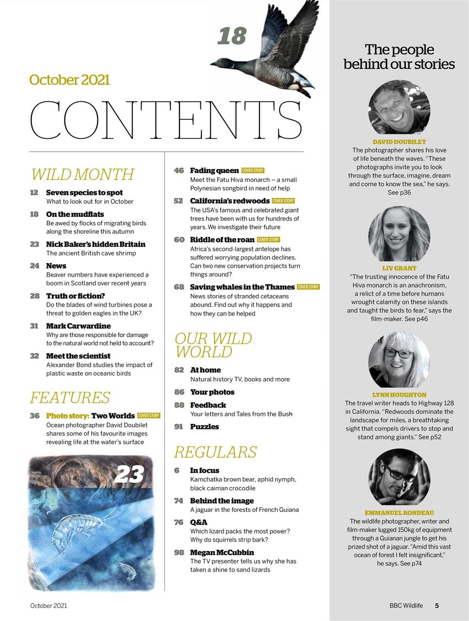 BBC Wildlife Magazine Preview Pages