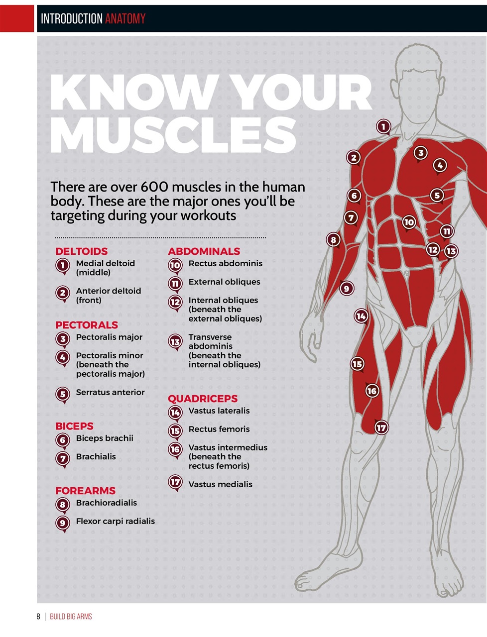 Men’s Fitness Guides Preview Pages