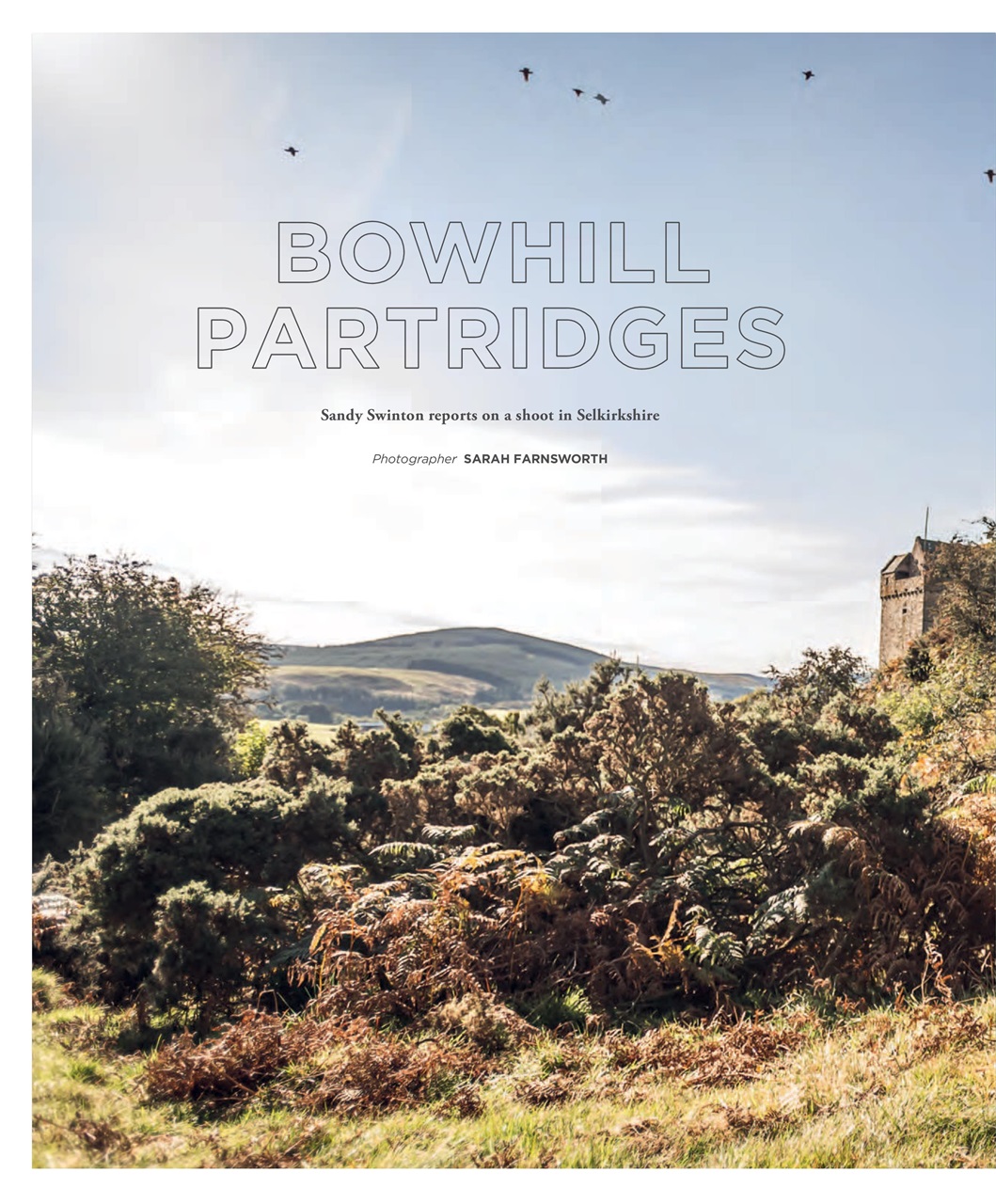 Fieldsports Journal Preview Pages