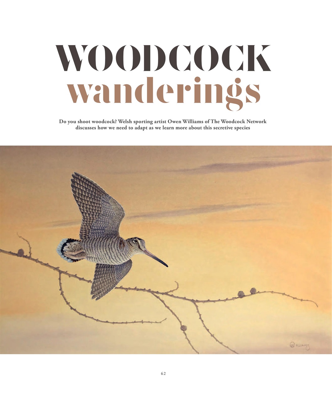 Fieldsports Journal Preview Pages