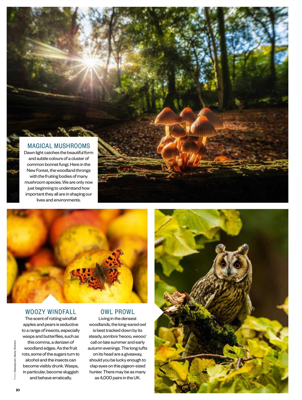 BBC Countryfile Magazine Preview Pages
