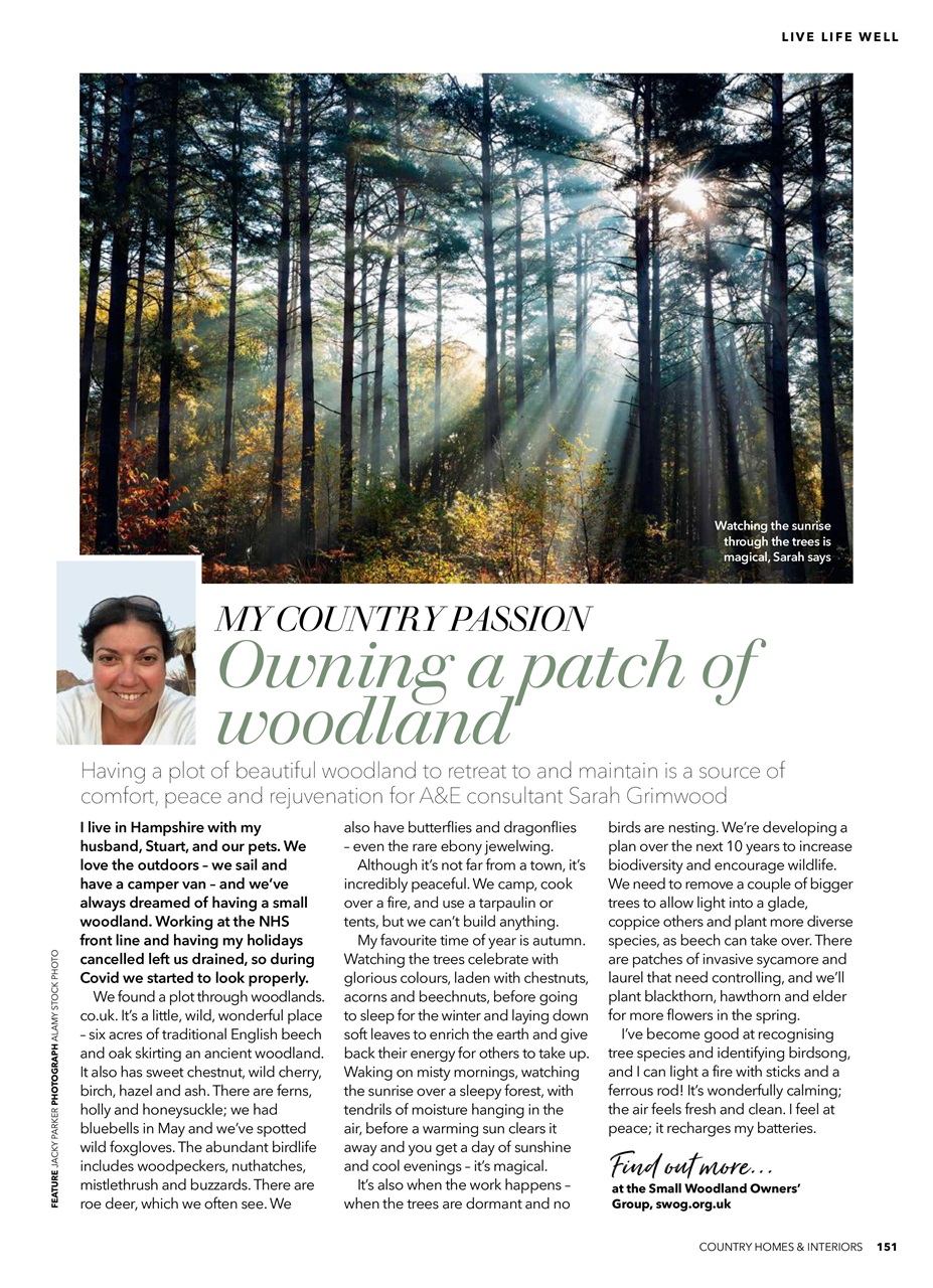 Country Homes & Interiors Preview Pages