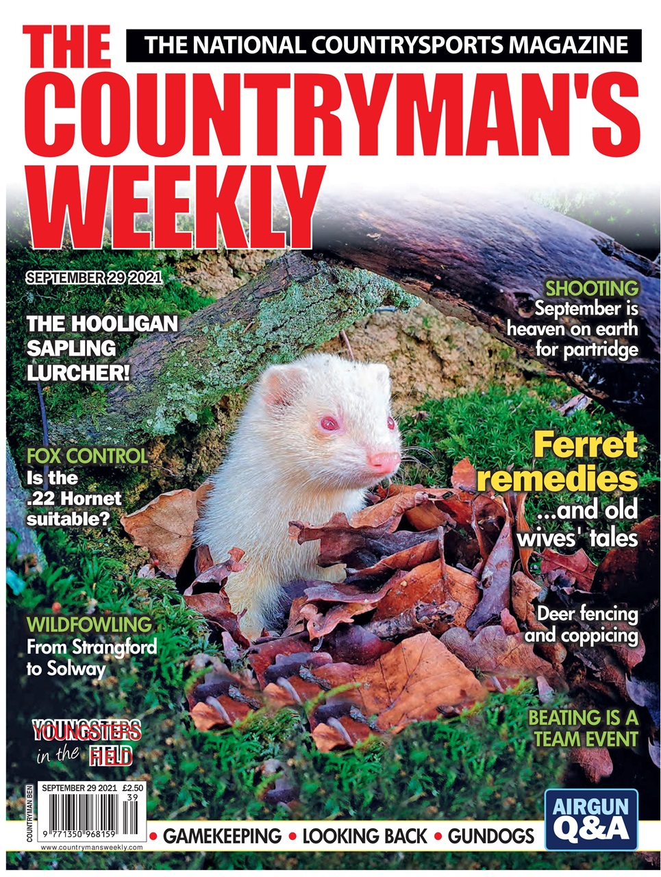 Countryman's Weekly Preview Pages