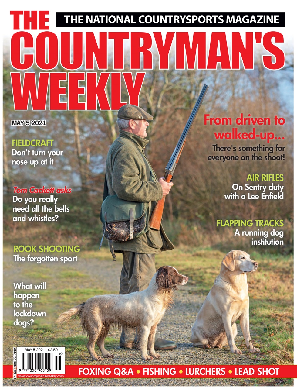 Countryman's Weekly Preview Pages
