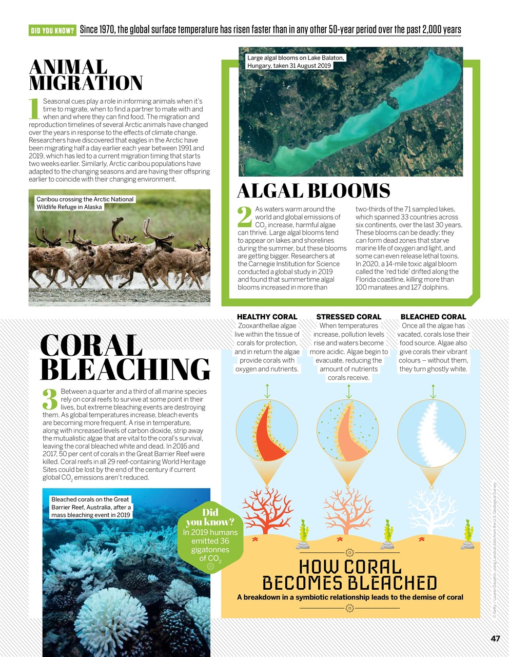 How It Works Preview Pages