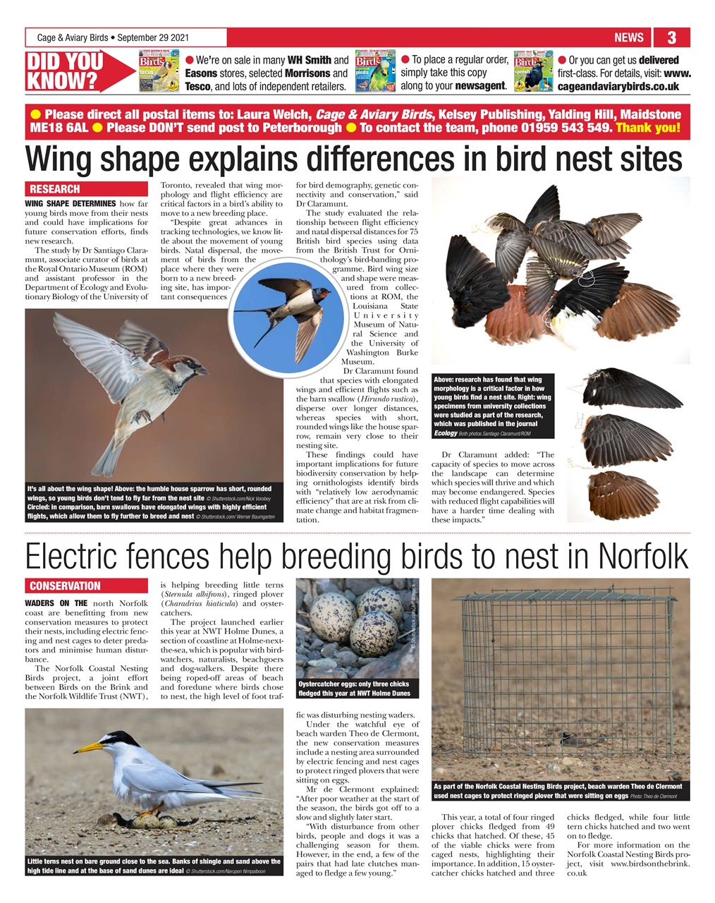 Cage & Aviary Birds Preview Pages